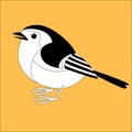 Robin bird, vector illustration , flat style, profile Royalty Free Stock Photo