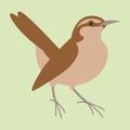 Robin bird , vector illustration , flat style ,profile Royalty Free Stock Photo