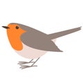 Robin bird,vector illustration ,flat style, profile Royalty Free Stock Photo