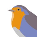 Robin bird vector illustration flat style profile Royalty Free Stock Photo