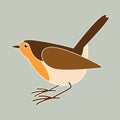 Robin bird vector illustration, flat style,profile Royalty Free Stock Photo
