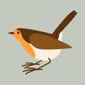 Robin bird vector illustration, flat style,profile Royalty Free Stock Photo