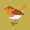 Robin bird vector illustration, flat style,profile Royalty Free Stock Photo