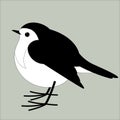 Robin bird , vector illustration , flat style, profile Royalty Free Stock Photo