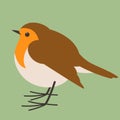 Robin bird , vector illustration , flat style, profile Royalty Free Stock Photo