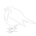 Robin bird , vector illustration , lining draw, profile