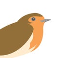 Robin bird vector illustration style flat side