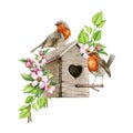 Robin birds on the birdhouse with spring flowers. Watercolor hand drawn illustration. Cozy spring decoration. Pair of