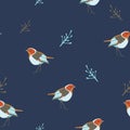 Robin birds seamless pattern Royalty Free Stock Photo