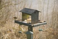 Robin On Birdtable Royalty Free Stock Photo