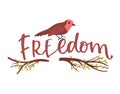 Robin on branch with word Freedom calligraphy, bird and nature themed graphic design. Inspirational artistic concept Royalty Free Stock Photo