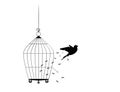 Bird flying from the cage, flying bird silhouette, cage illustration, freedom concept, wall decals, wall artwork, poster design Royalty Free Stock Photo