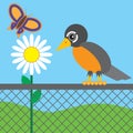 Robin on chain link fence Royalty Free Stock Photo