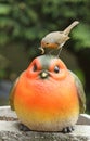 A Robin Erithacus rubecula sitting on the head of a large Robin garden ornament with food in its beak, which it wants to f Royalty Free Stock Photo