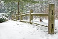 Robin on fence in winter