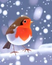 Robin snow scene Royalty Free Stock Photo