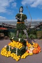 Robin Hood made of olorful pumpkins in different shape, sizes and colors. Green, yellow and orange pumpkins built a statue