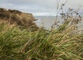 Robin Hood`s Bay - the shore and the grass.