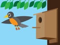 Robin Leaving Birdhouse