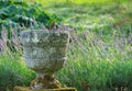 Robin perched on edge of garden urn England Royalty Free Stock Photo