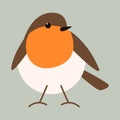 Robin red breast bird, vector illustration, flat style