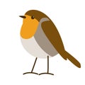 Robin red breast bird, vector illustration, flat style