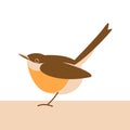 Robin red breast bird, vector illustration, flat style