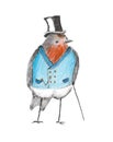 Robin red breast dressed up as a Victorian gentleman.