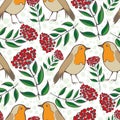 Robin Redbreast, berries and leaves seamless vector pattern background. Hand drawn European garden birds with lush Royalty Free Stock Photo