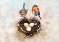 Robin redbreast and heart shaped nest Royalty Free Stock Photo