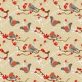 Robin redbreast pattern Royalty Free Stock Photo