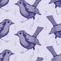 Robin Redbreast vintage vector seamless pattern background. Monochrome purple winter bird on floral backdrop. Hand drawn Royalty Free Stock Photo