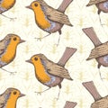 Robin Redbreast vintage vector seamless pattern background. Winter bird with bright red breast on floral backdrop. Hand