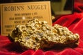 Robin`s gold nugget on display at Golden Nugget casino in Las Vegas