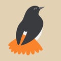 Robin song bird vector illustration flat style