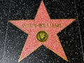 Robin Williams Hollywood star