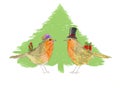 Robins and Christmas tree. Royalty Free Stock Photo
