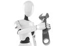 Robot with adjustable wrench