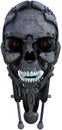 Robot Android Cyborg Head Isolated