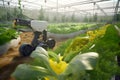 A robot assistant helps in agriculture to grow plants in a greenhouse, Generative AI 1