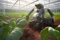 A robot assistant helps in agriculture to grow plants in a greenhouse, Generative AI 2