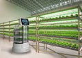 Robot assistant in light growth indoor farm