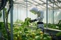 The robot checks the plant seedlings in the greenhouse. Future technologies in agriculture