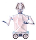 Healthcare robot companion