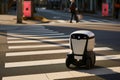 robot courier waiting at pedestrian crossing