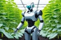 A high-tech robot designed for agricultural tasks tends a garden bed in a greenhouse. Plant care, farming techniques Royalty Free Stock Photo