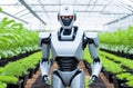 A high-tech robot designed for agricultural tasks tends a garden bed in a greenhouse. Plant care, farming techniques Royalty Free Stock Photo