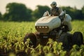 Robot farmer on modern futuristic tractor driving on field with green plants, sunny summer day, smart agriculture