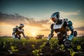Robot farmers working in the field at sunset