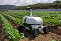 A robot is on a field with a field in the background